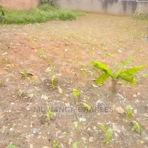 25decimals Is Available for Sale in Kyaliwajara
