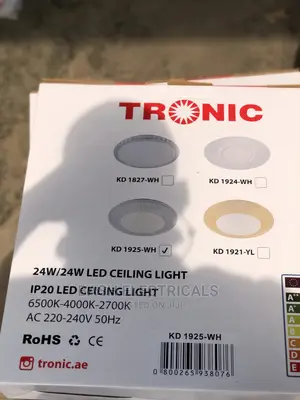 Ceiling Light Led