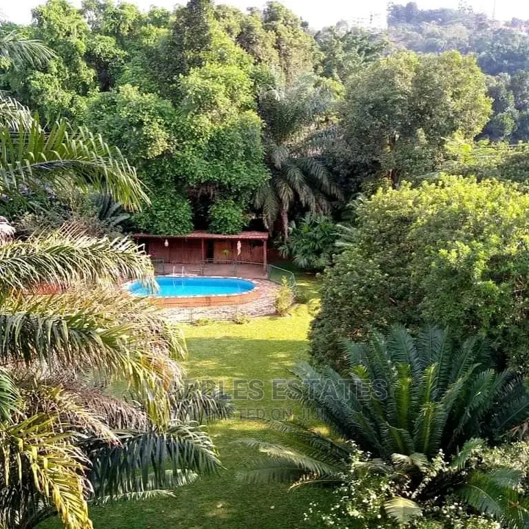 4bdrm House in Kololo, Kampala for Rent