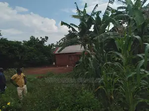 1acre Is Available for Sale in Gayaza Kiwenda