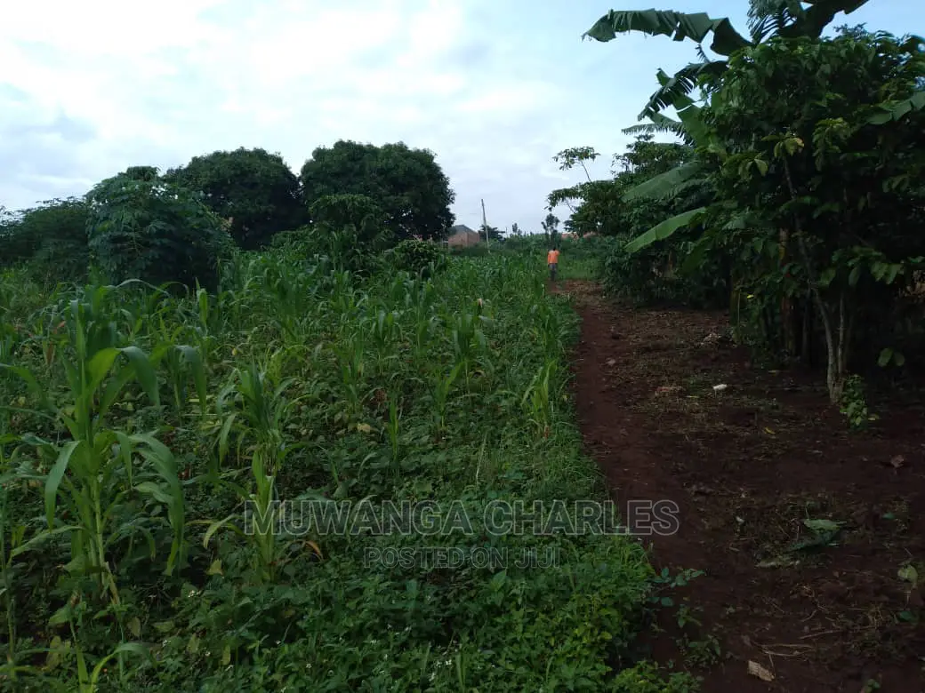 1acre Is Available for Sale in Gayaza Kiwenda