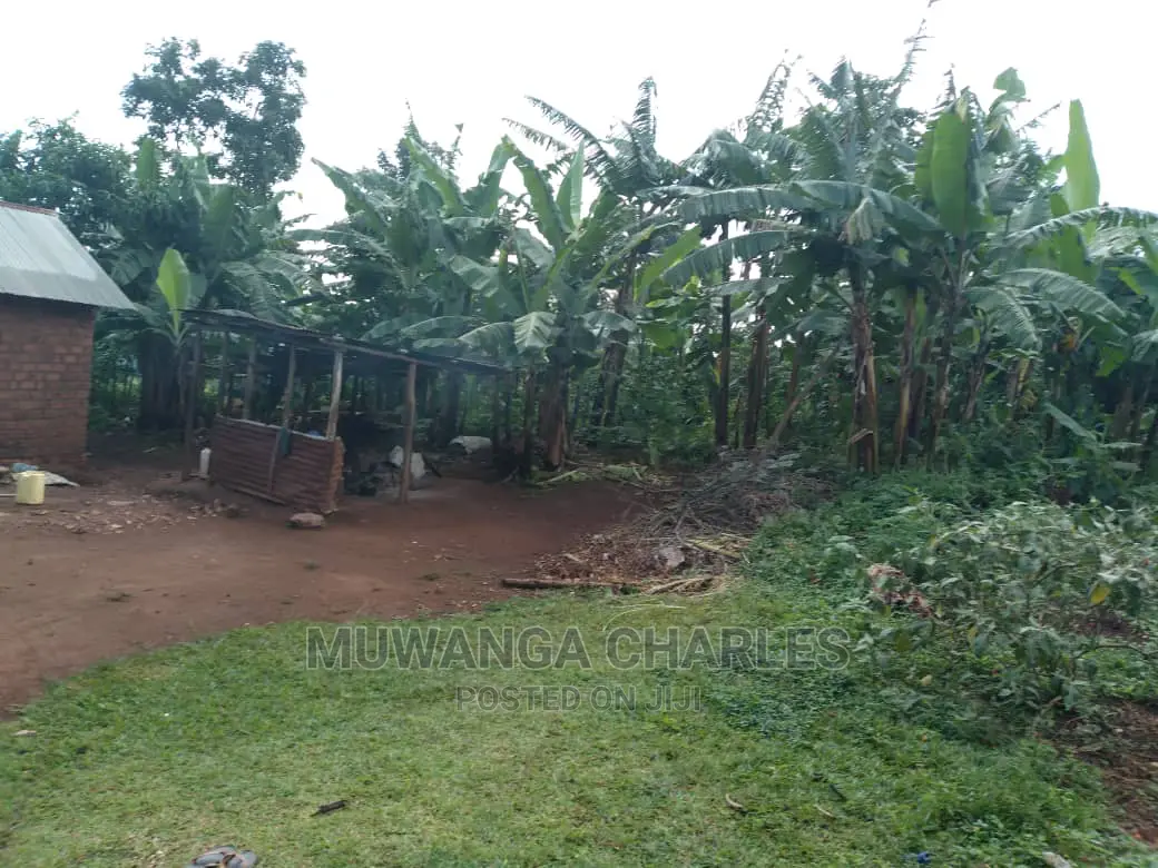 1acre Is Available for Sale in Gayaza Kiwenda