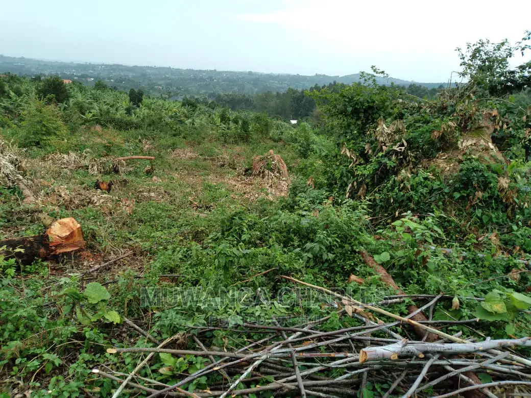 1acre Is Available for Sale in Gayaza Kiwenda