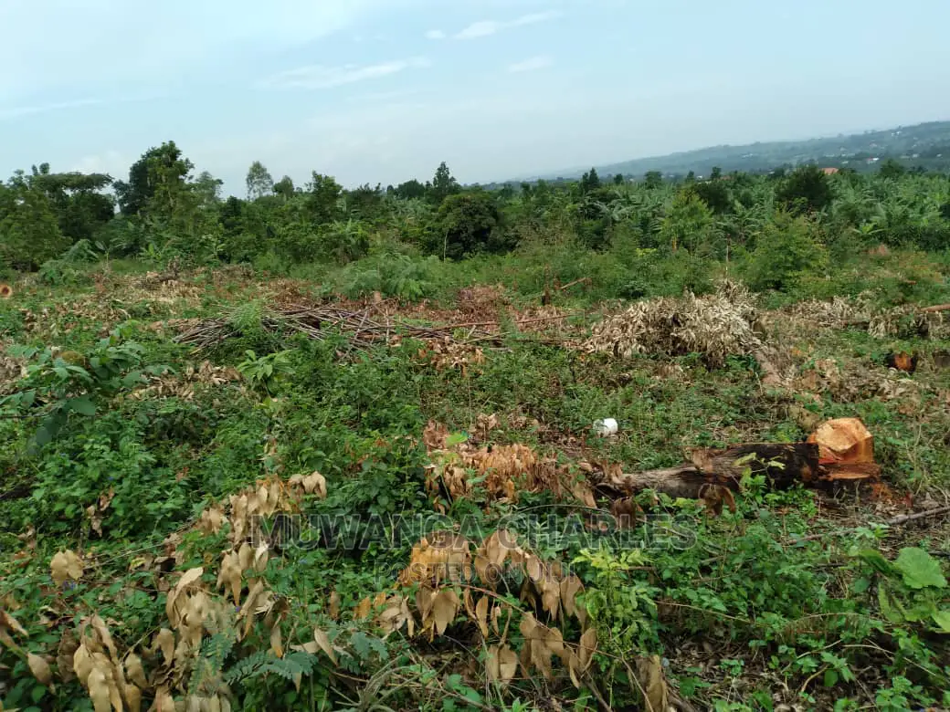 1acre Is Available for Sale in Gayaza Kiwenda