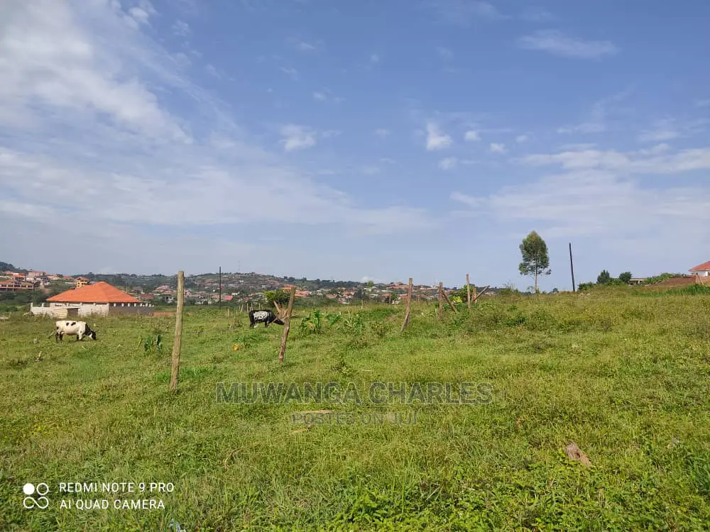 3acres Is Available for Sale in Kira