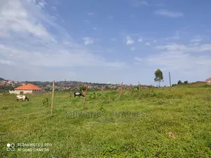 3acres Is Available for Sale in Kira