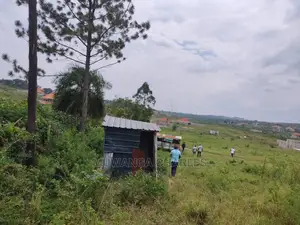 3acres Is Available for Sale in Kira