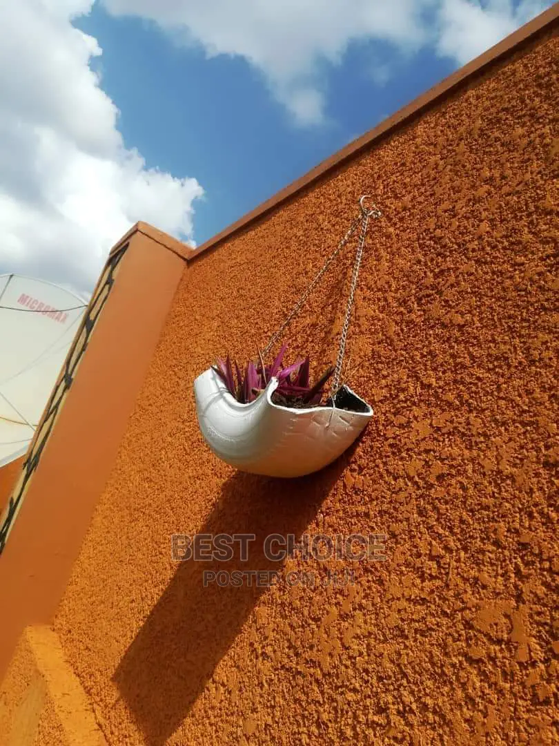 Compound Designing Land Scarping Flowers Plants Stones Pots