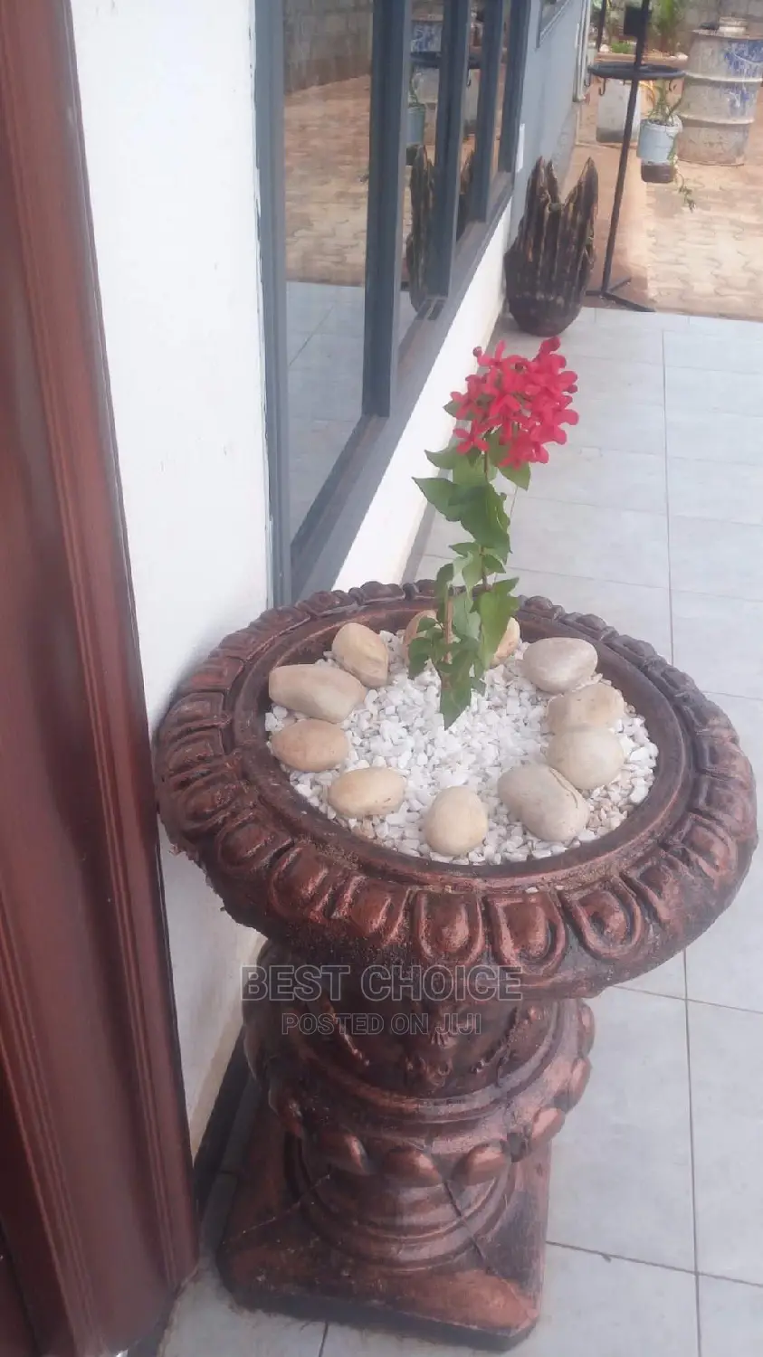 Compound Designing Land Scarping Flowers Plants Stones Pots