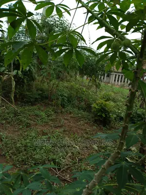 1.5acres Is Available for Sale in Kiwenda