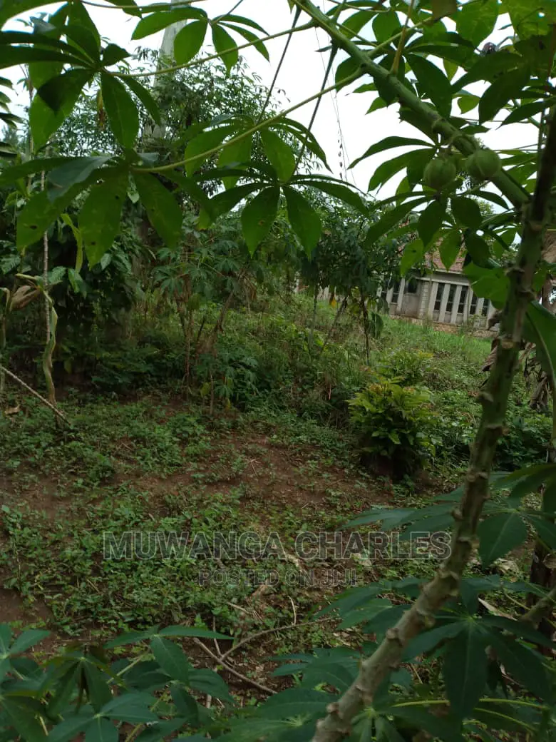1.5acres Is Available for Sale in Kiwenda