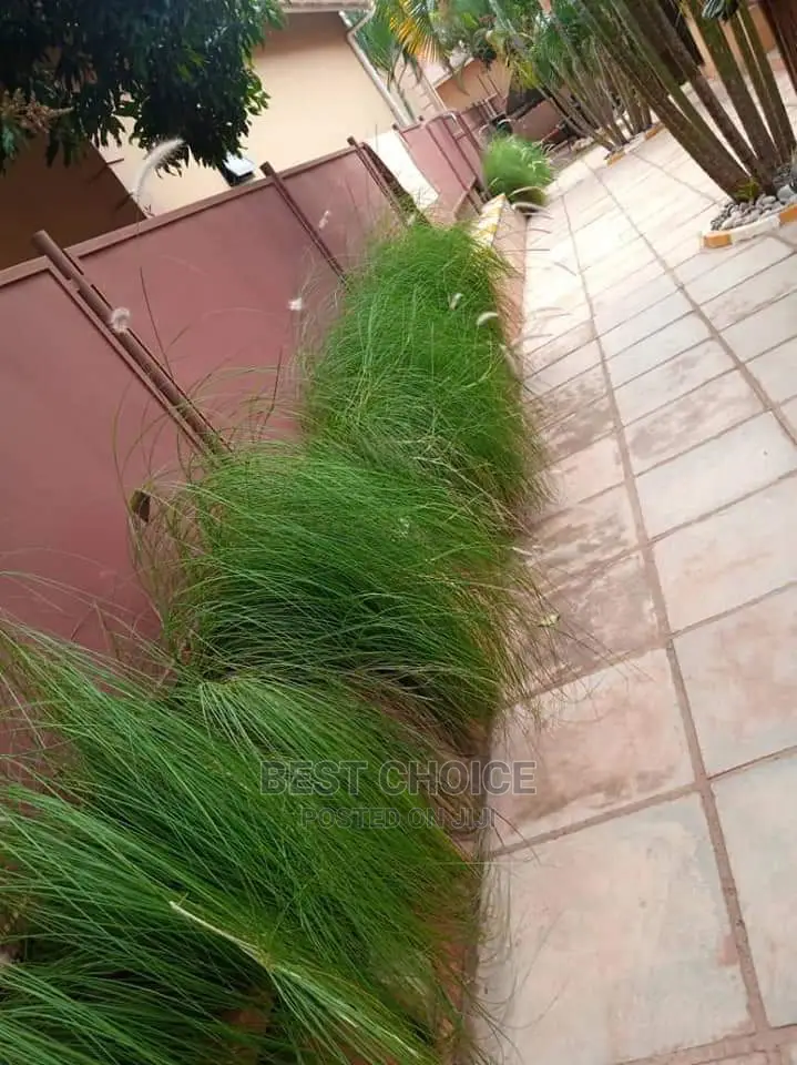 Affordable Compound Designing and Land Scarping.