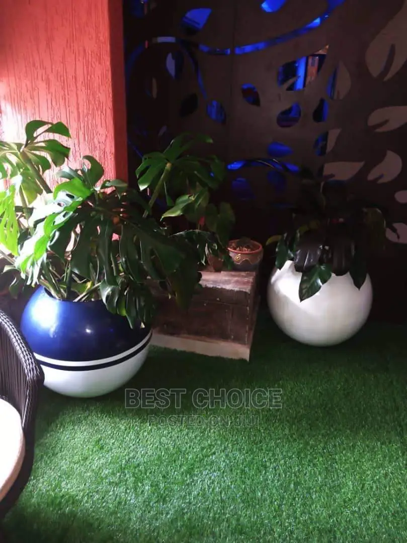Interior Plants,Flowers,Pots,Designing.