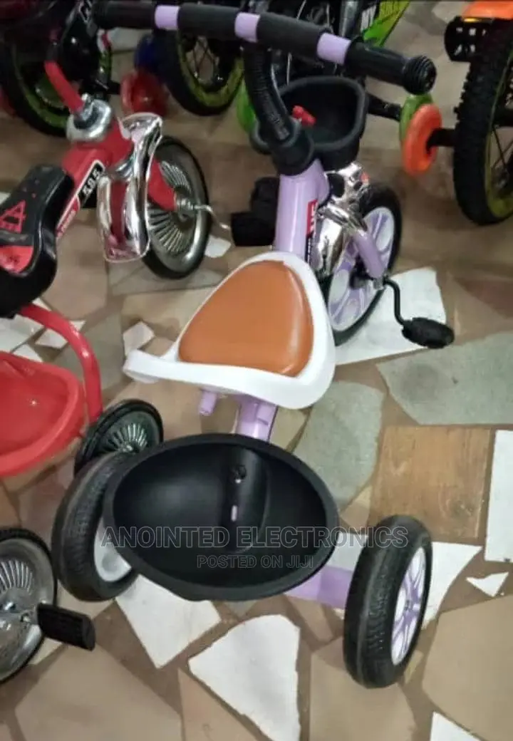 Trycle Bike