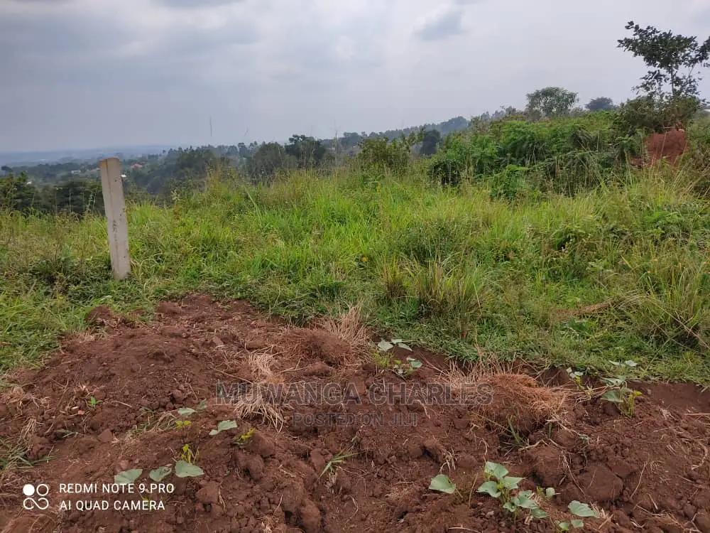 Plots Is Available for Sale in Wakiso Namusera