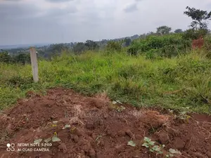 Plots Is Available for Sale in Wakiso Namusera