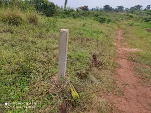 Plots Is Available for Sale in Wakiso Namusera