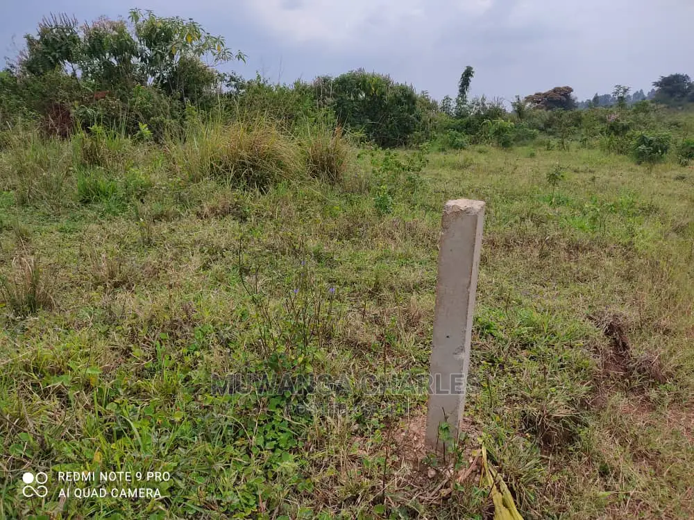Plots Is Available for Sale in Wakiso Namusera