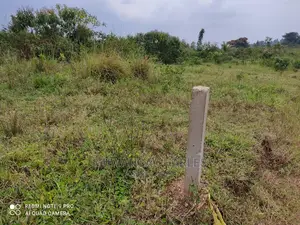 Plots Is Available for Sale in Wakiso Namusera