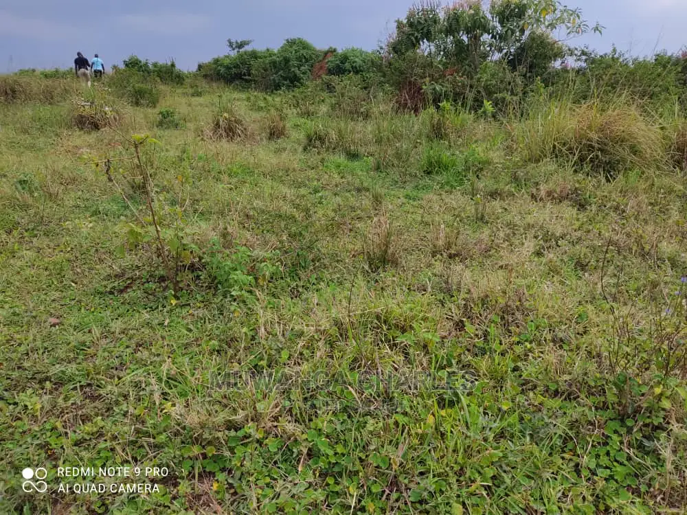 Plots Is Available for Sale in Wakiso Namusera