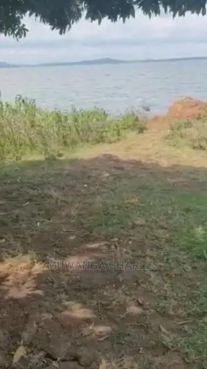 Plots Is Available For Sale In Wakiso