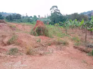 Plots Is Available For Sale In Wakiso