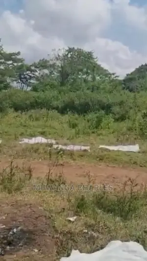 Plots Is Available For Sale In Wakiso