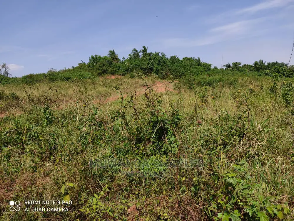 Plots Is Available For Sale In Wakiso