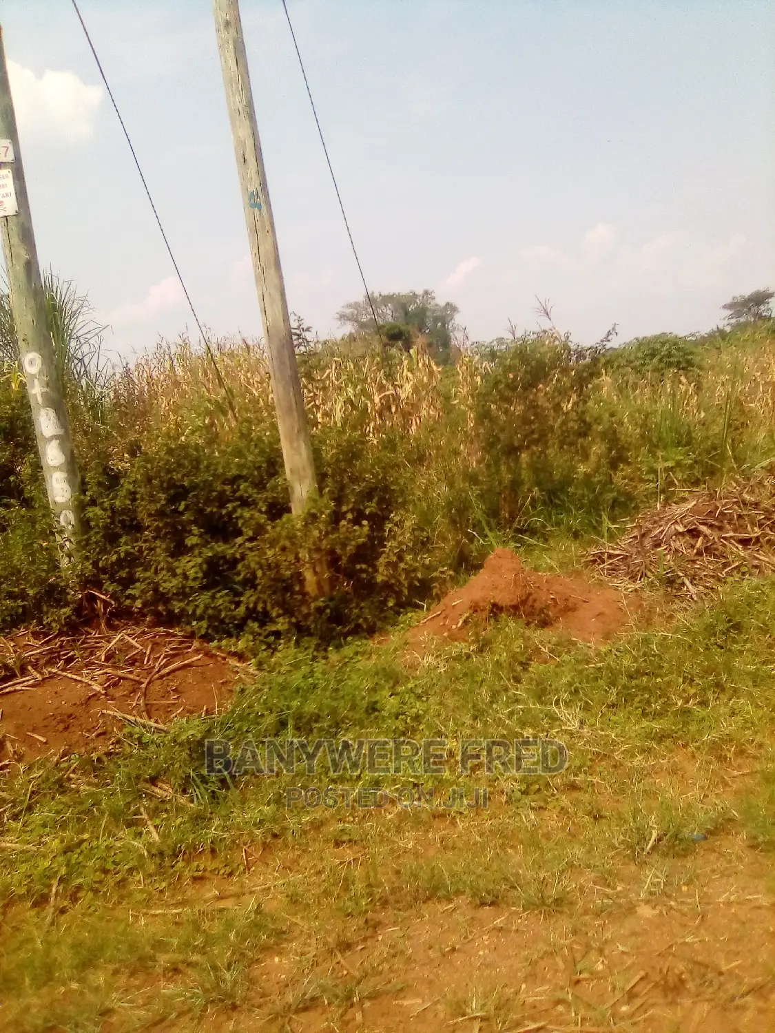 50/100 Namwendwa Centre Kamuli District for Sale