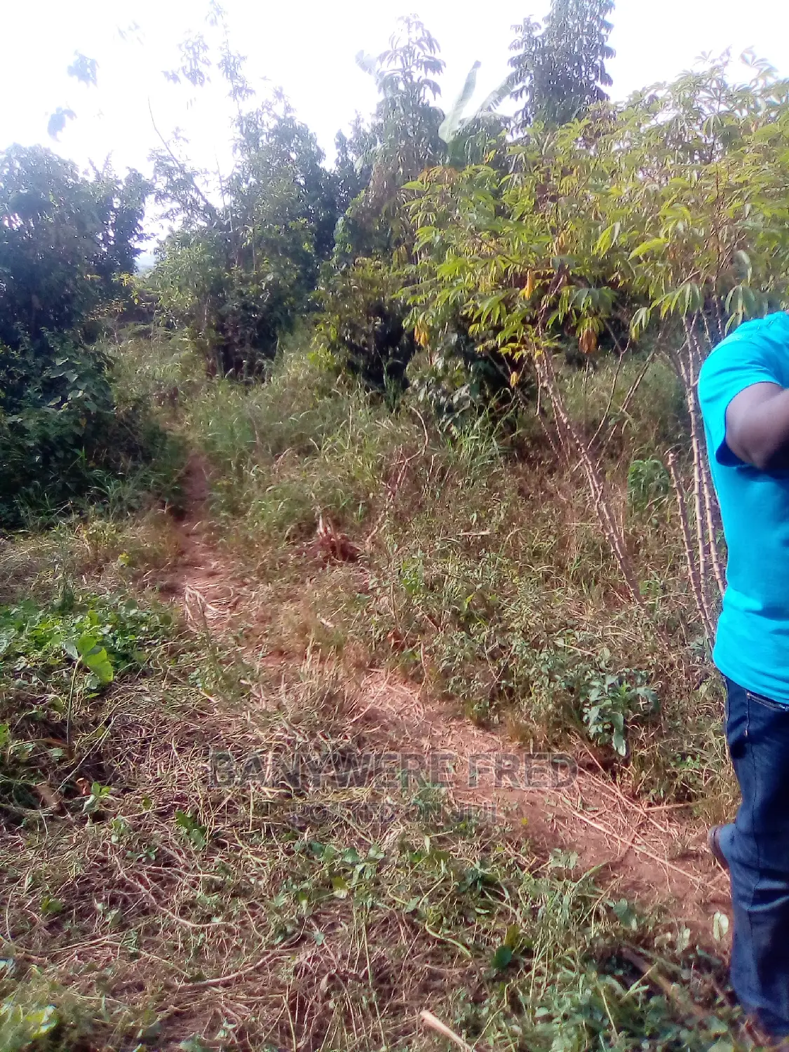 Ndese Mukono 50/100 Plot on Sale