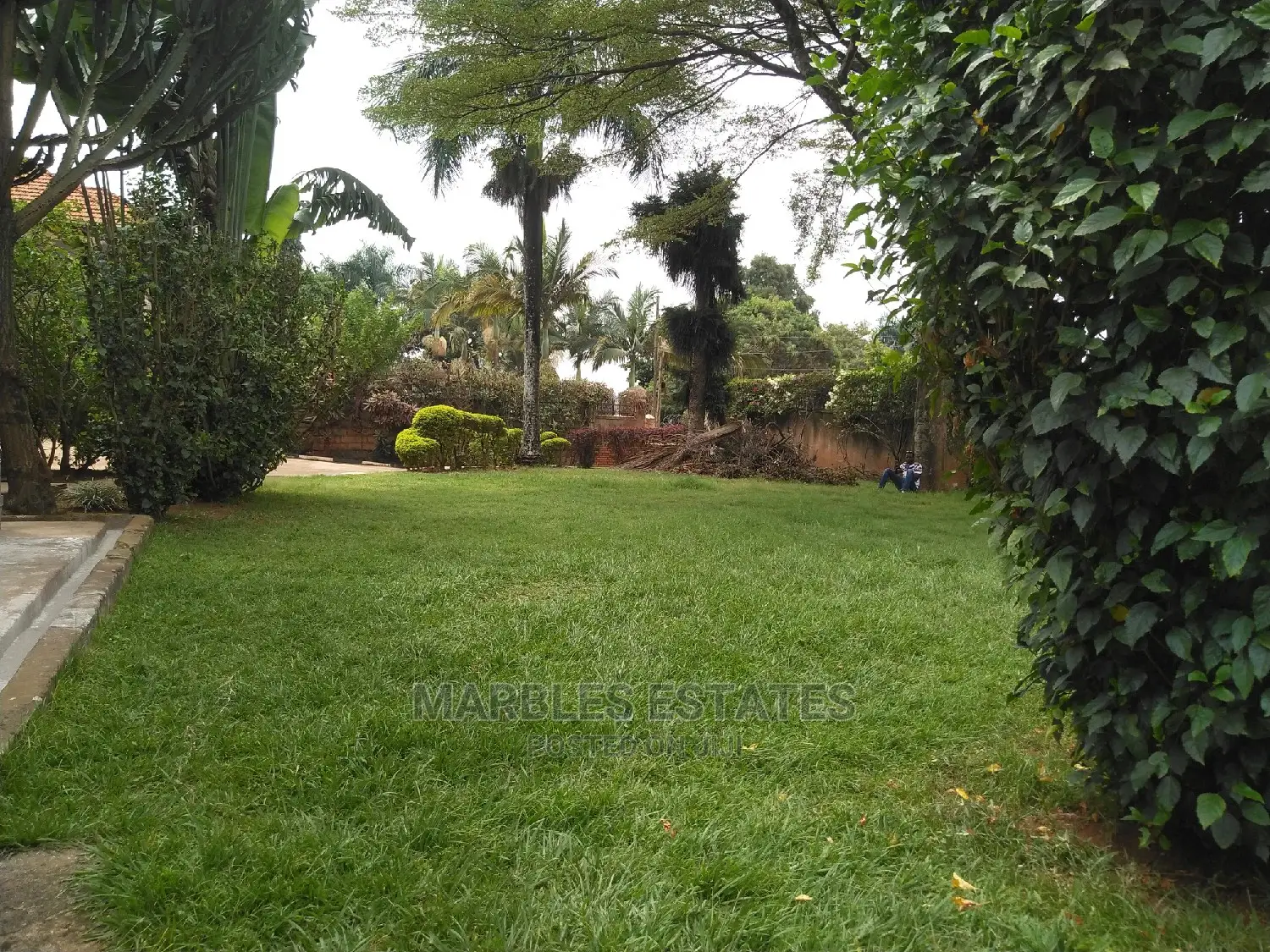 4bdrm House in Naguru, Kampala for Rent