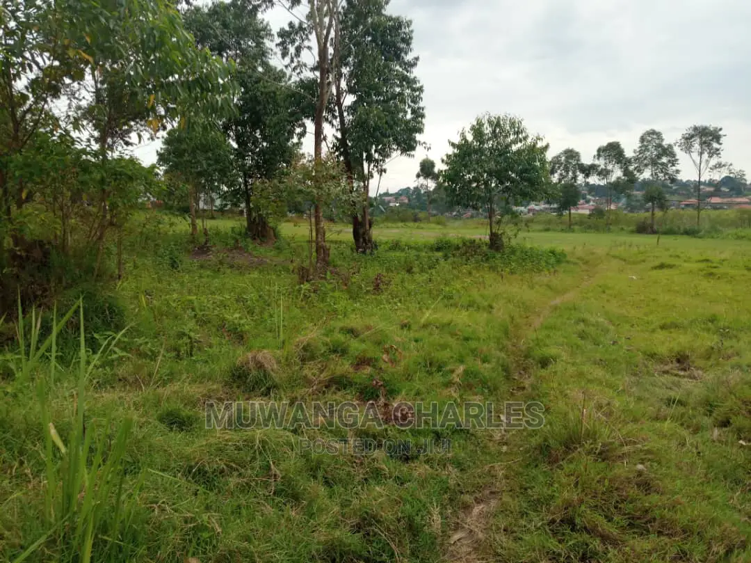 5acre's Is Available for Sale in Zirobwe Near Town