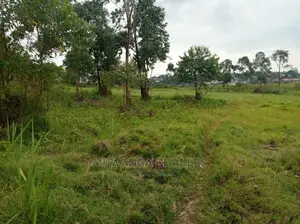 5acre's Is Available for Sale in Zirobwe Near Town