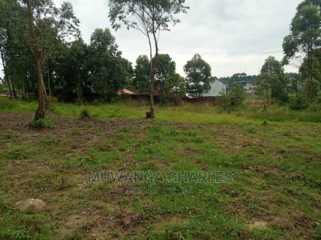 5acre's Is Available for Sale in Zirobwe Near Town
