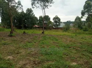 5acre's Is Available for Sale in Zirobwe Near Town