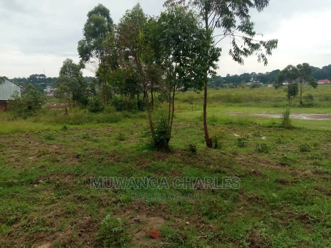 5acre's Is Available for Sale in Zirobwe Near Town