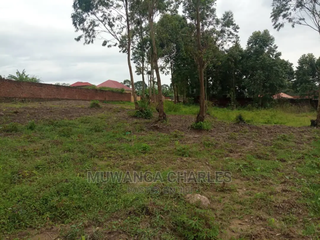 5acre's Is Available for Sale in Zirobwe Near Town