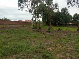 5acre's Is Available for Sale in Zirobwe Near Town