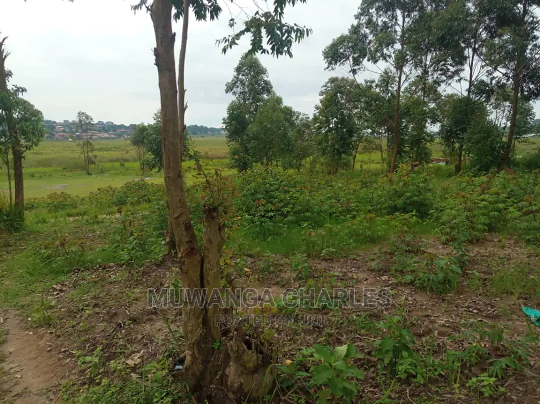 5acre's Is Available for Sale in Zirobwe Near Town