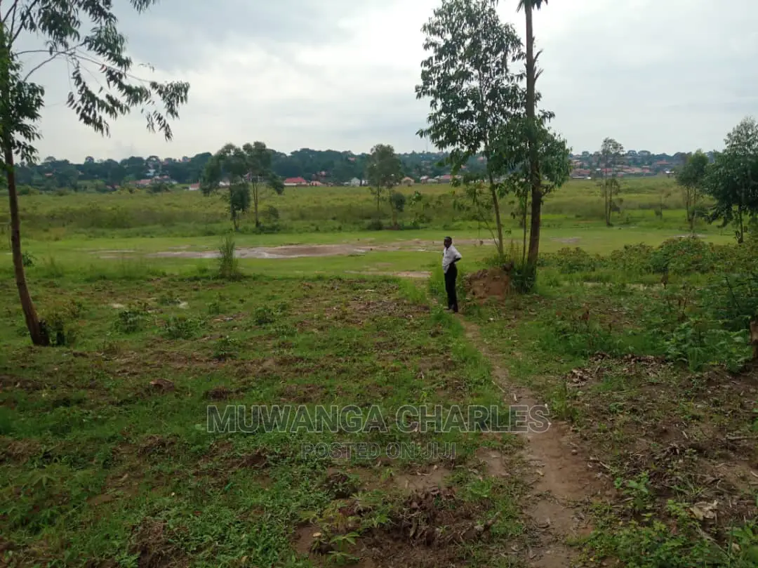 5acre's Is Available for Sale in Zirobwe Near Town