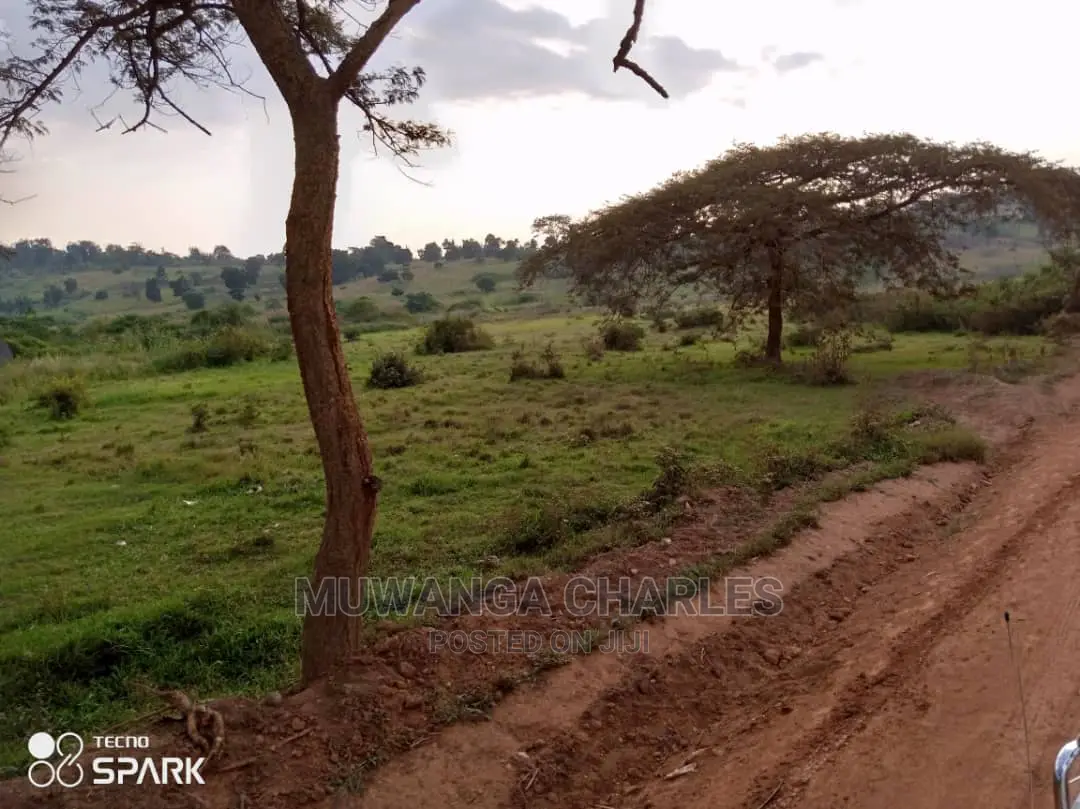 50acre's Is Available for Sale in Nakasongola