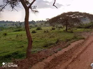 50acre's Is Available for Sale in Nakasongola
