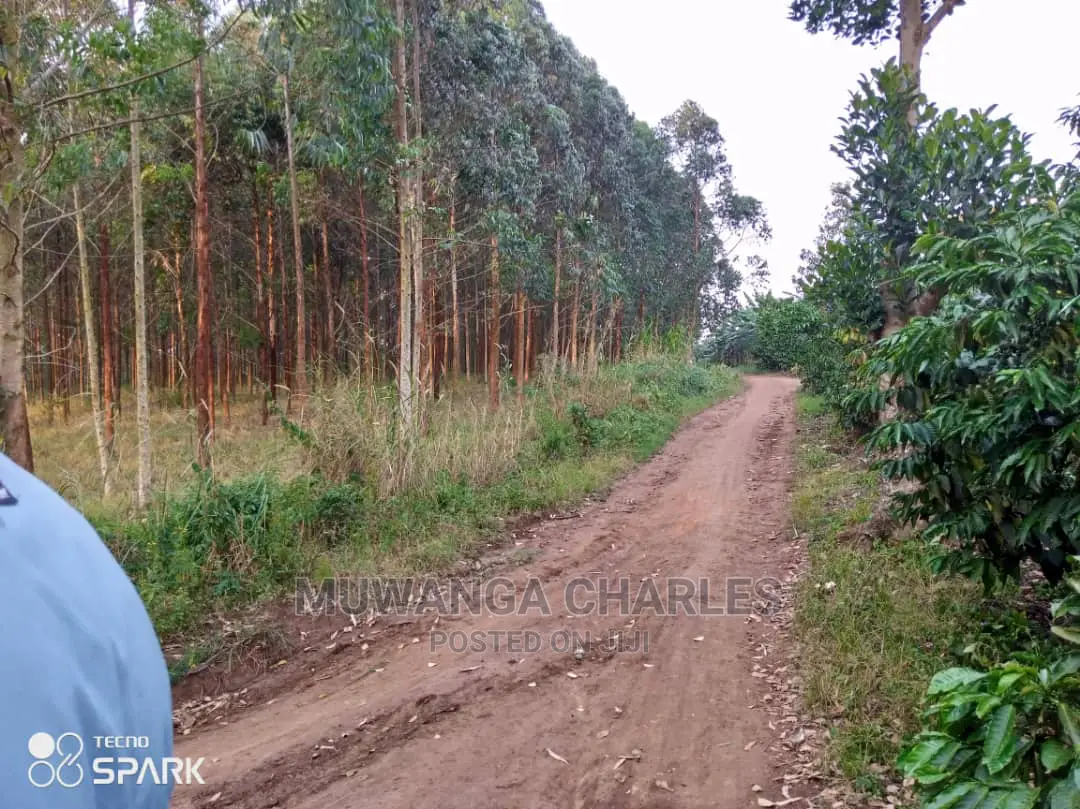 50acre's Is Available for Sale in Nakasongola