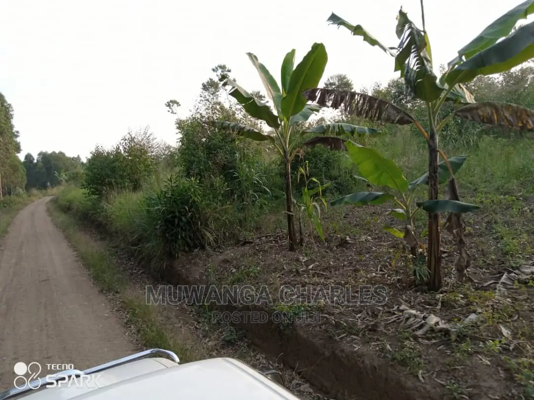 50acre's Is Available for Sale in Nakasongola