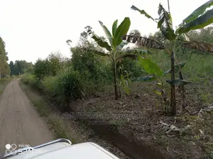 50acre's Is Available for Sale in Nakasongola