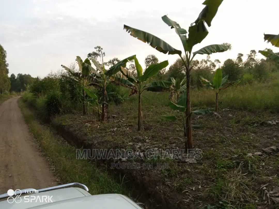 50acre's Is Available for Sale in Nakasongola