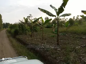 50acre's Is Available for Sale in Nakasongola