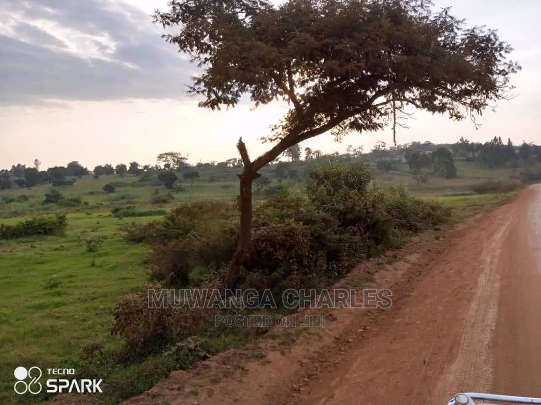 50acre's Is Available for Sale in Nakasongola
