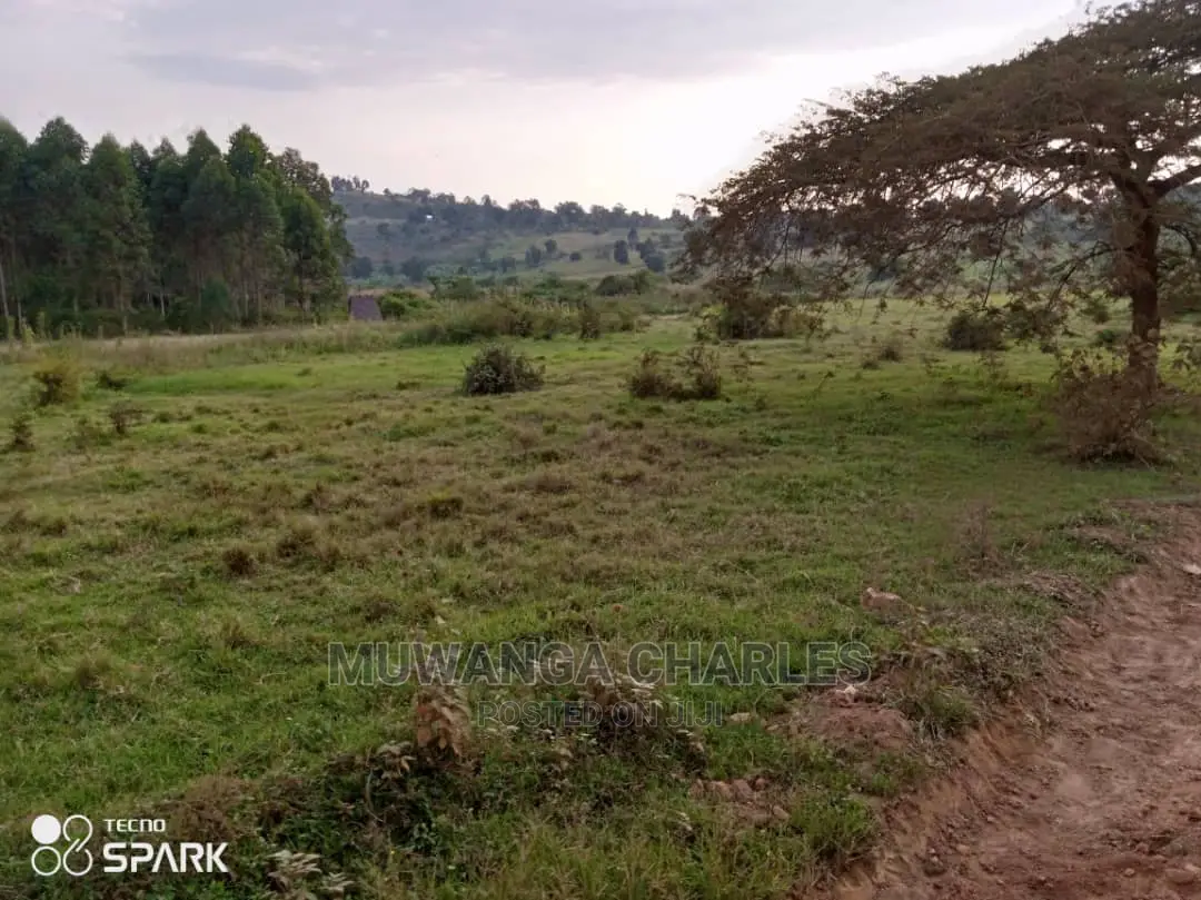 50acre's Is Available for Sale in Nakasongola