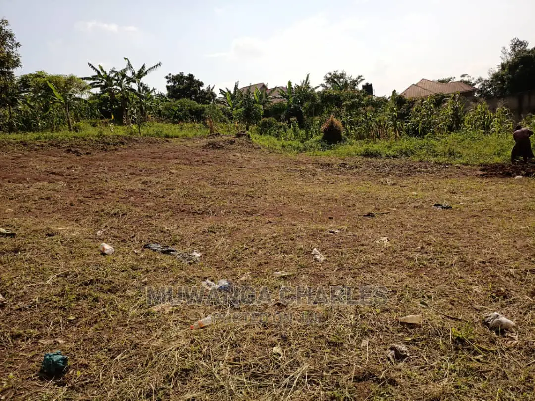 12decimals Is Available for Sale in Kira